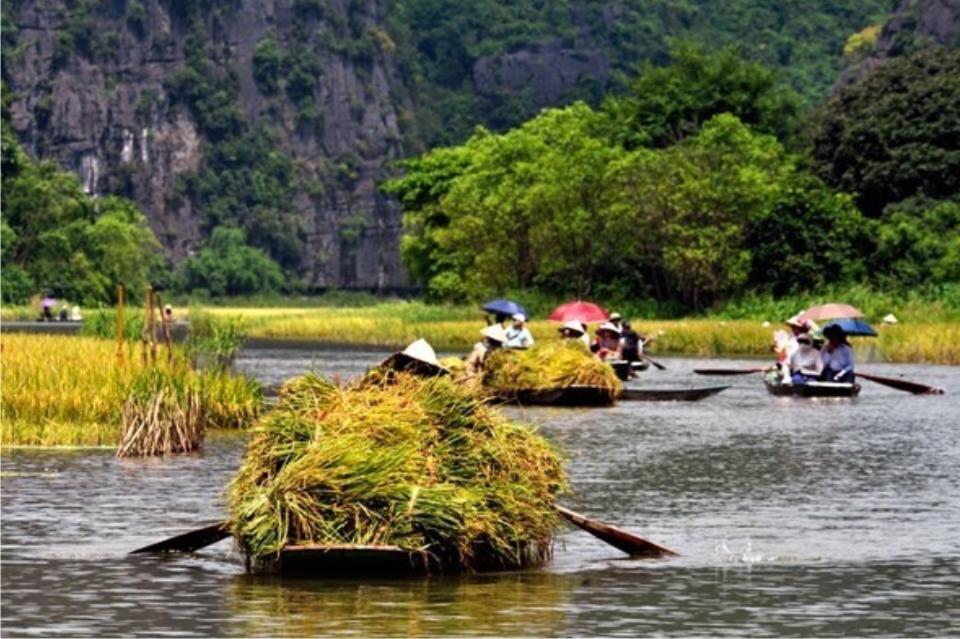 Tam Coc Cozy Homestay Ninh Binh Zewnętrze zdjęcie